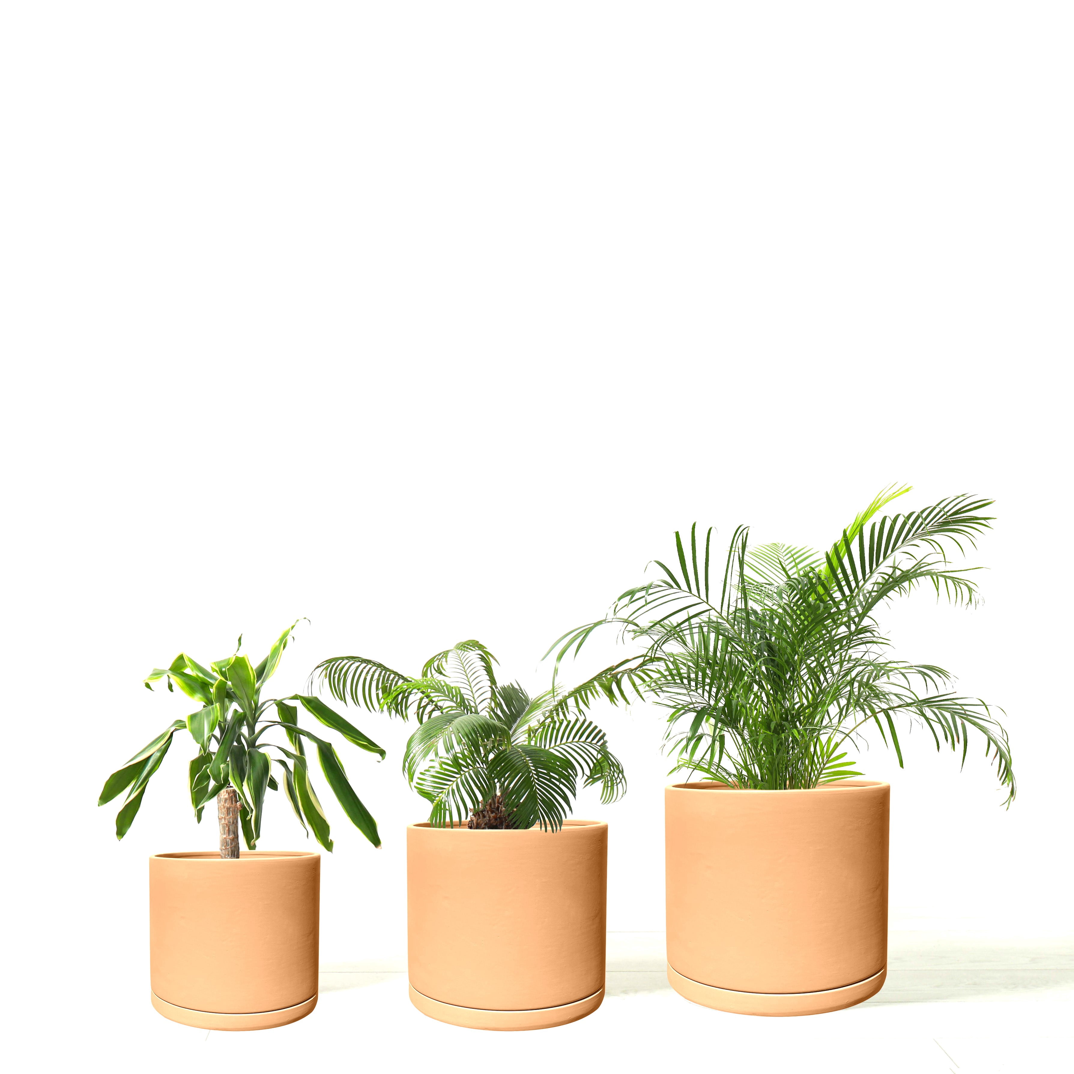 Olly & Rose Rome Terracotta Plant Pots Garden Planters Set 3 Indoor Outdoor Ceramic Plant Pots with Saucers