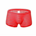 thumbnail image 1 of HKEJIAOI Mens Boxer Briefs Men's Fashion Boxer Shorts Mesh Breathable Underpants, 1 of 2