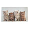 thumbnail image 2 of MKHERT Kittens Cat Doormat Non-slip Bath Mat Floor Mat 30x18 inch, 2 of 3
