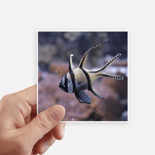 Océan Poissons Science Nature Image Autocollant Carré Imperméable Autocollants Papier Peint Voiture Decal