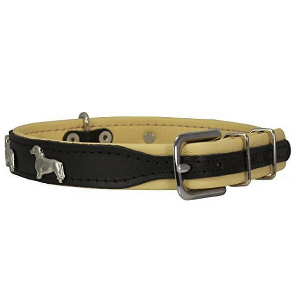 Real Leather Soft Leather Padded Dog Collar Dachshund (14"-15.5" Neck; 3/4" Wide, Black/Beige)