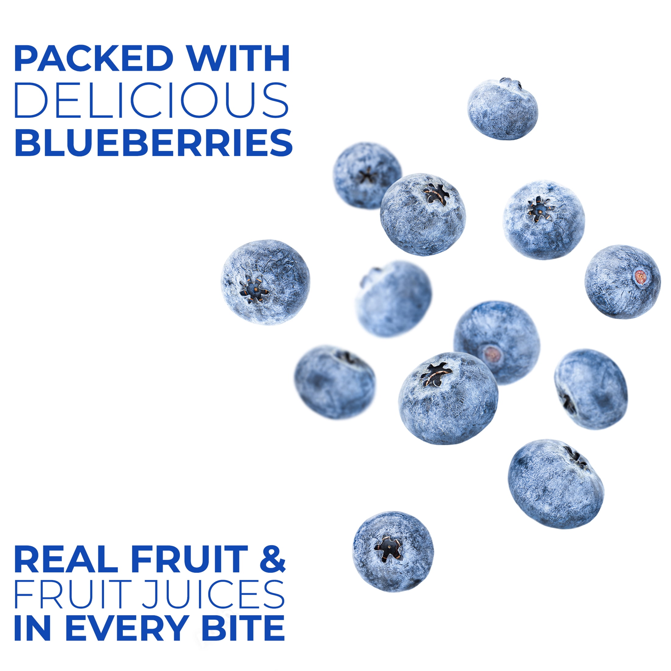 Betty Lou's Blueberry Fruit Bars, Vegan, Gluten Free Snacks 12 Count