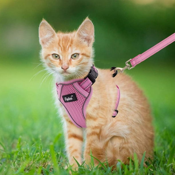Cosy meadow escape proof harness deals