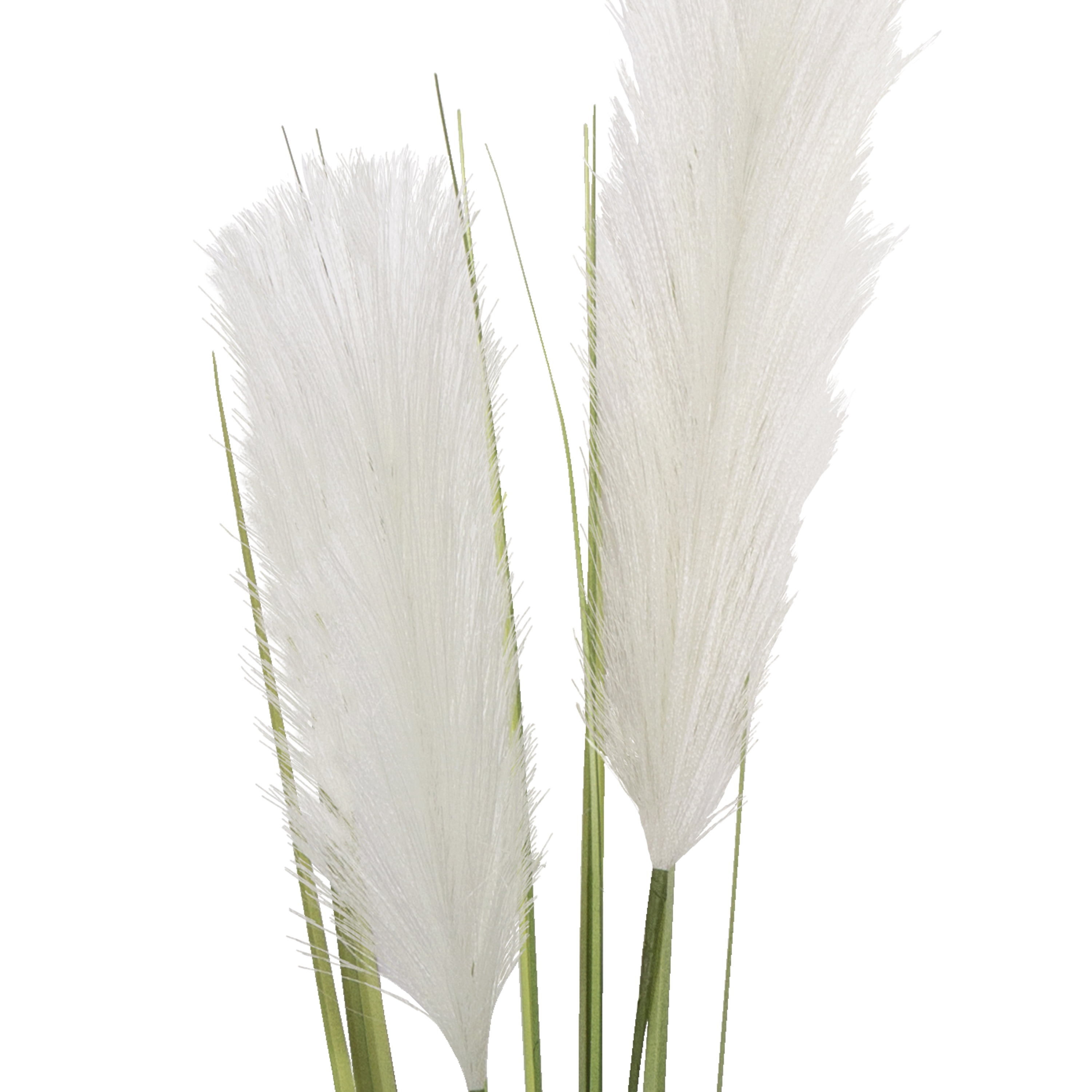 (4 pack) 31-inch Artificial Feather Reed Grass Pampas Grass Long Stem, Cream, for Indoor Use, by Mainstays