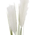 thumbnail image 2 of 31-inch Artificial Feather Reed Grass Pampas Grass Long Stem, Cream, for Indoor Use, by Mainstays, 2 of 5