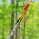 thumbnail image 3 of eslabones de cadena, mosquetones de acero inoxidable de alta resistencia para escalada, camping y seguridad., 3 of 7