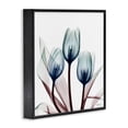 thumbnail image 2 of Stupell Industries Modern Chic Blue Translucent Tulips Black Framed Giclee Art, 17 x 17, by Albert Koetsier, 2 of 7