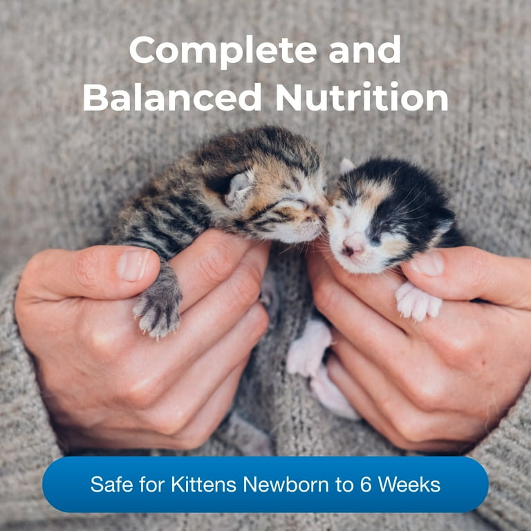 PetAg KMR Kitten Milk Replacer Liquid 11 oz