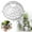 Clear, variant on Clearance! Haidf 3Pcs Floating Ball Plant Pot Cover, Detachable Floral Soil Cover, Reusable Planter Cover for Staghorn, Orchids, and Other Indoor Plants, Flower Pot Covers, Plant Protector, 3 Colors