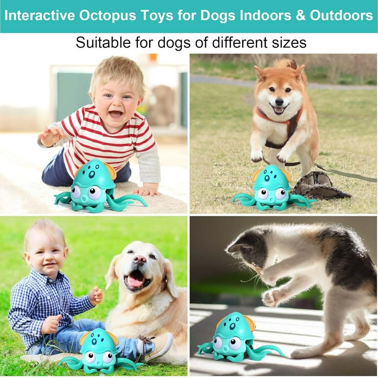 Mity rain Crab Crawling, Escaping Crab Dog Toy with Obstacle Avoidance  Sensor, Dancing Crab Toys with Music Sounds & Lights for Dogs Cats Pets