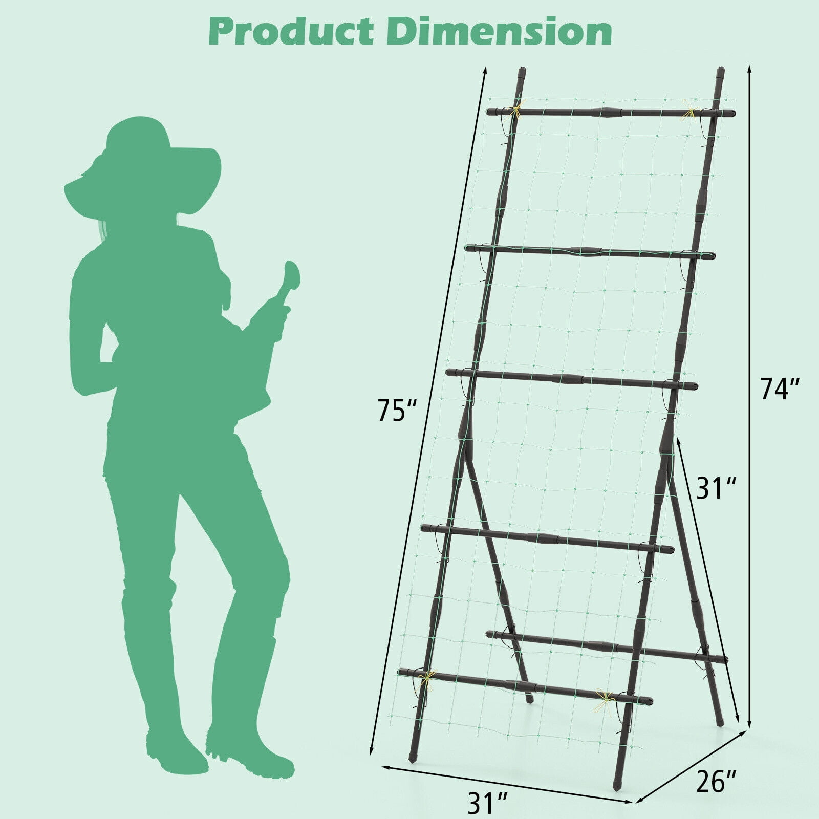 Amijoy 74" Garden Cucumber Trellis for Plant Climbing w/ PE-Coated Frame, Trellis Net