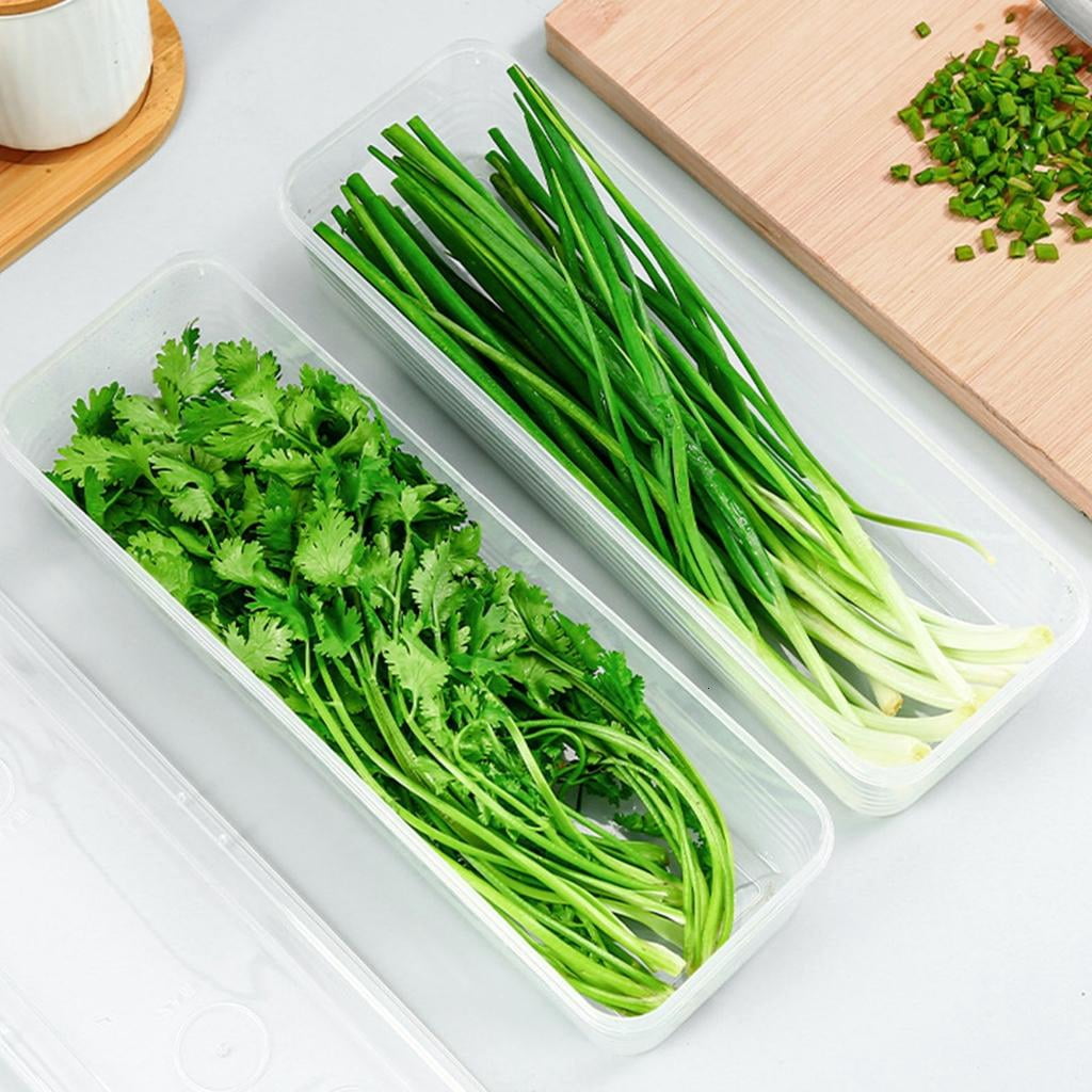 Airtights Food Storage Box Keep Vegetables Freshing Clear Fridge Organizers for Small Space Kitchen Supplies
