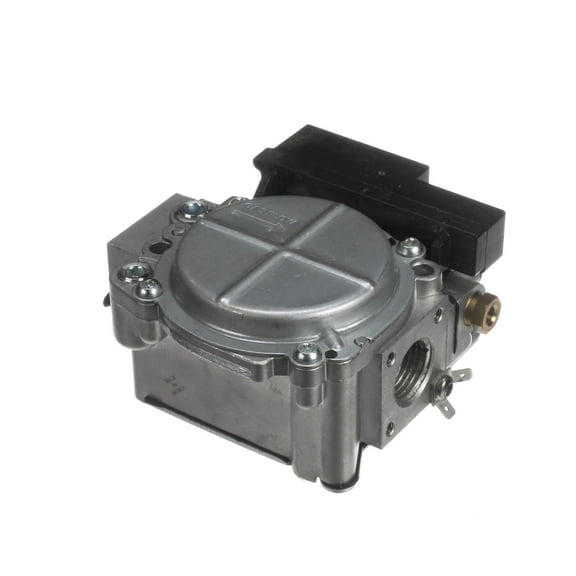 Blodgett Valve, 24V Natural Gas 30005 - Genuine OEM Replacement Part