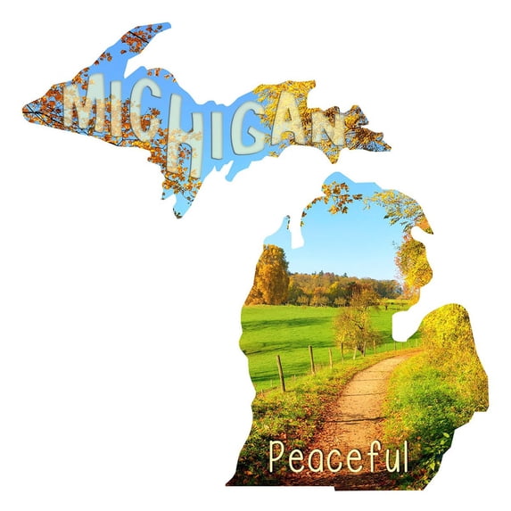 Next Innovations Michigan Indoor/Outdoor Metal Wall Art