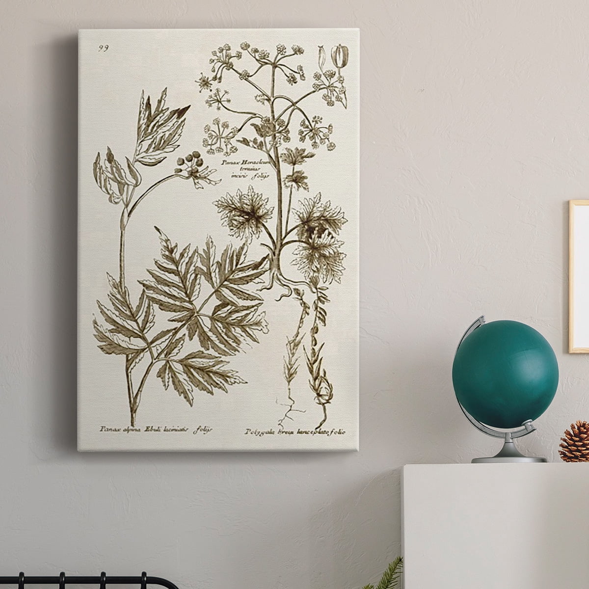 Sepia Botanical Journal III Premium Gallery Wrapped Canvas - Ready to Hang