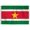 2x3 ft Nylon Flag, variant on AGAS Suriname Flag 4x6 inch - 11" Plastic Pole 100% Polyester Stitched Edges Surinamese Mini Flag on a Stick