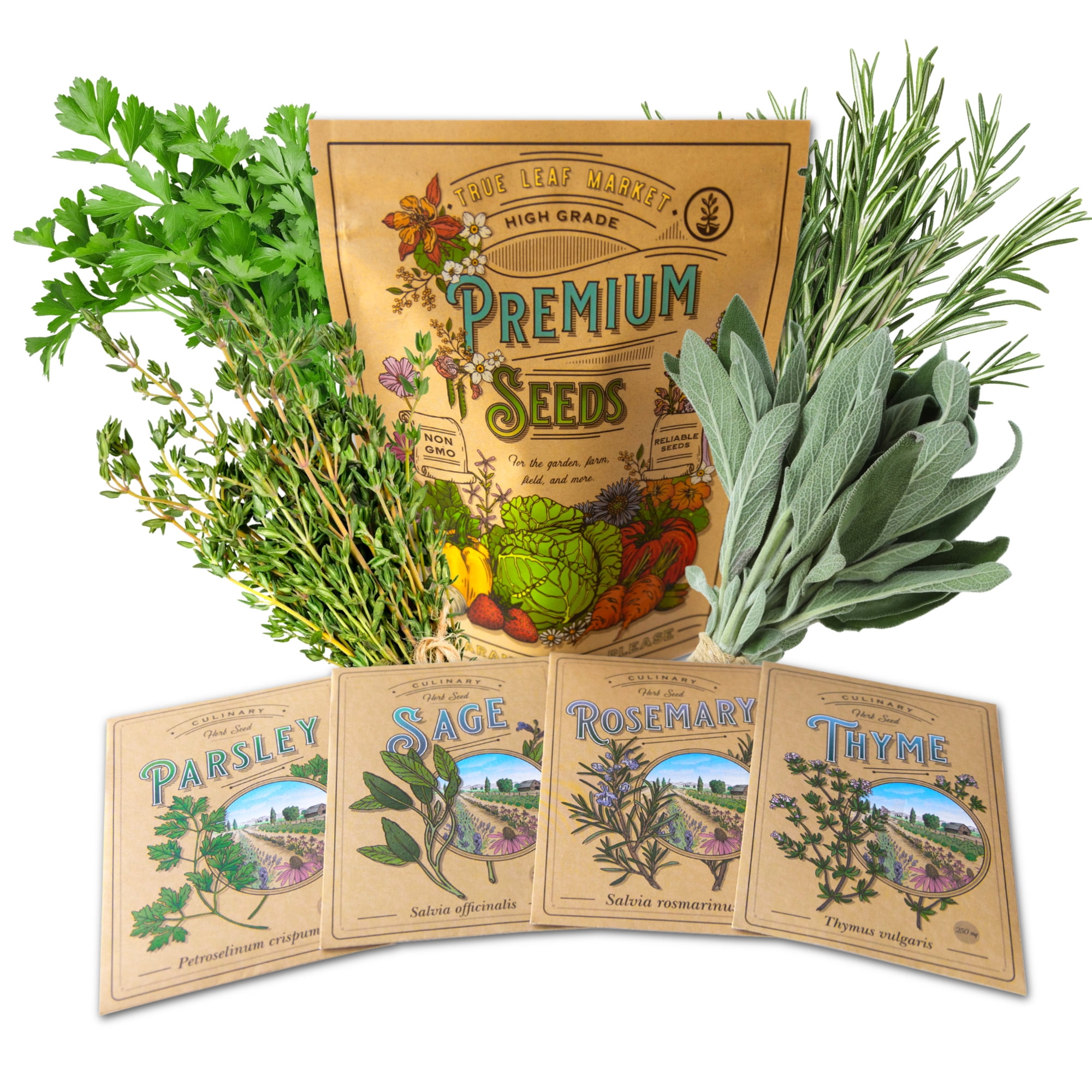 Scarborough Fair Culinary Herb Seed Collection Parsley, Sage, Rosemary, & Thyme Herb Seeds for