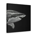 thumbnail image 5 of Great White Shark Rampage - Canvas, 5 of 25