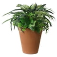 thumbnail image 2 of algreen olympus planter, self-watering planter, 14.5-in. height by 14-in., coarse ribbed texture, brownstone, 2 of 6