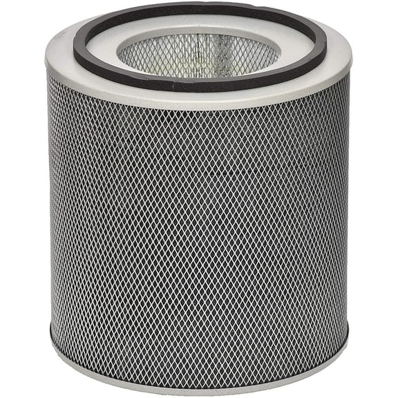 Austin Air FR400A Health-Mate Filter Air Purifier, Standard, 1 Black