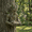 as shown, variant on The Quiet Offering A Tree-Integrated Bird Feeding Sculpture,Outdoor Millennial Tree Bird Feeder,Fairy Garden Tree Face Elf Statue,with Keyhole Hanger,Unique Gifts for Birds Lovers