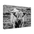 thumbnail image 2 of Nathan Larson 'Highland Cow Staring Contest' Canvas Art, 2 of 4