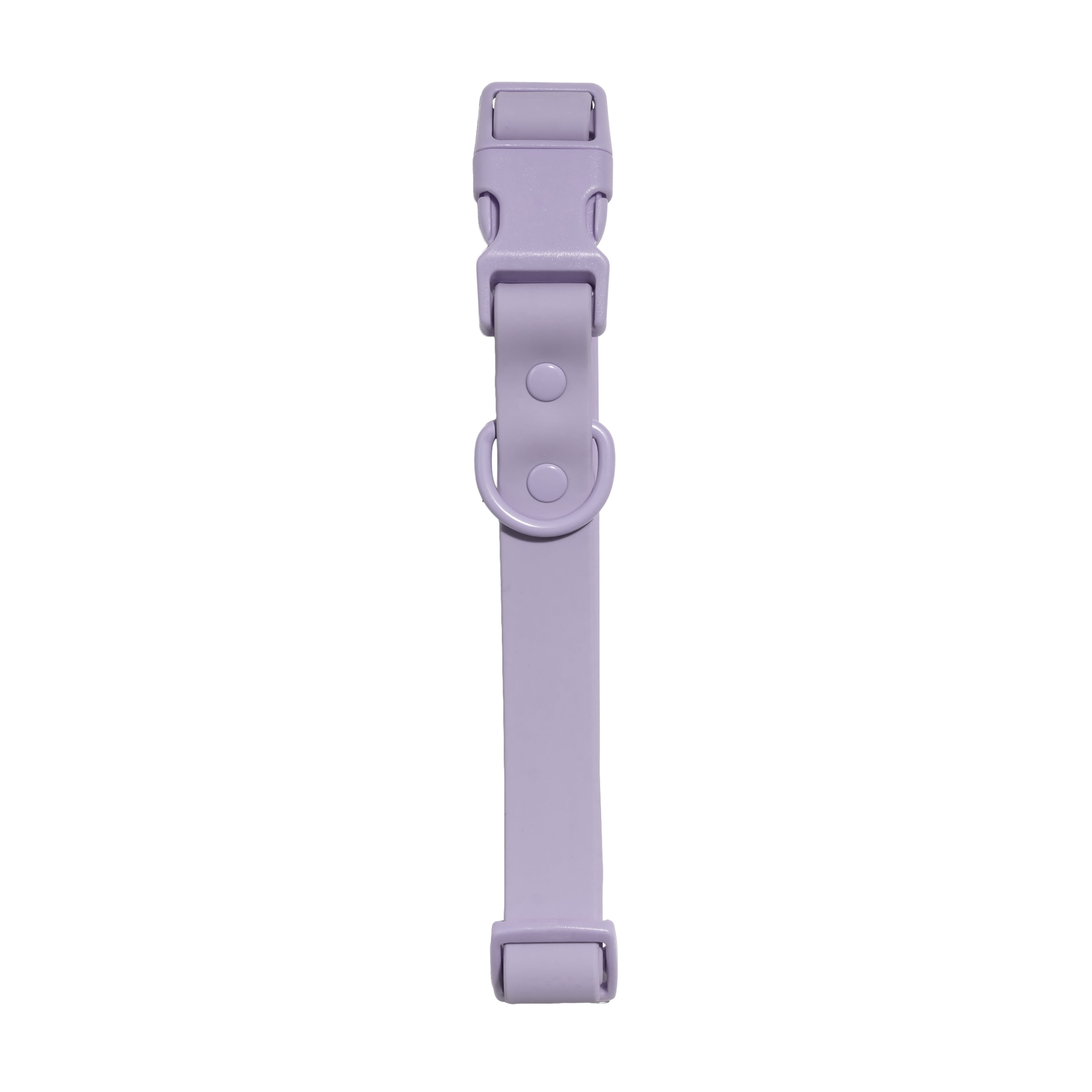 Vibrant Life Water Resistant Adjustable Dog Collar, Lavender, S