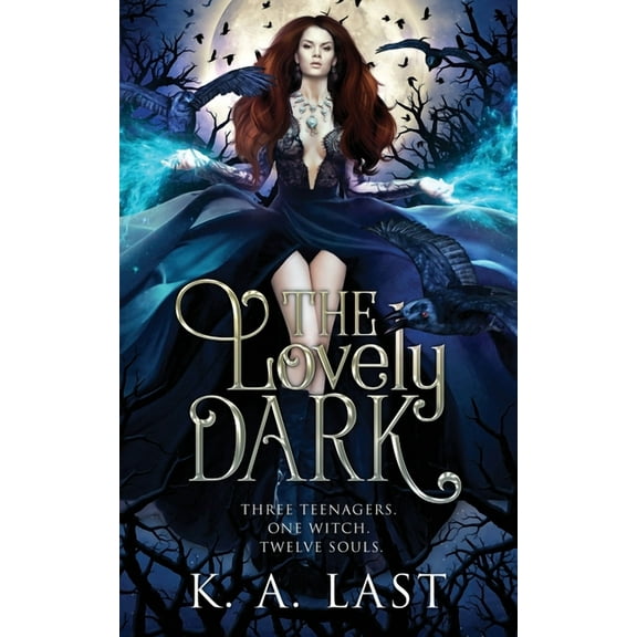 The Lovely Dark (Paperback)