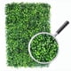 thumbnail image 3 of Follaje Verde Artificial Jardimex De Pared 100 Piezas 60 x 40 x 3 cm, 3 of 7
