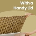 thumbnail image 3 of LEDREM Storage Basket with Lid, Large 105L Foldable PP Rattan Bin with Metal Frame, Removable Liner, Handles, Multi-Room Use, Natural, 3 of 6