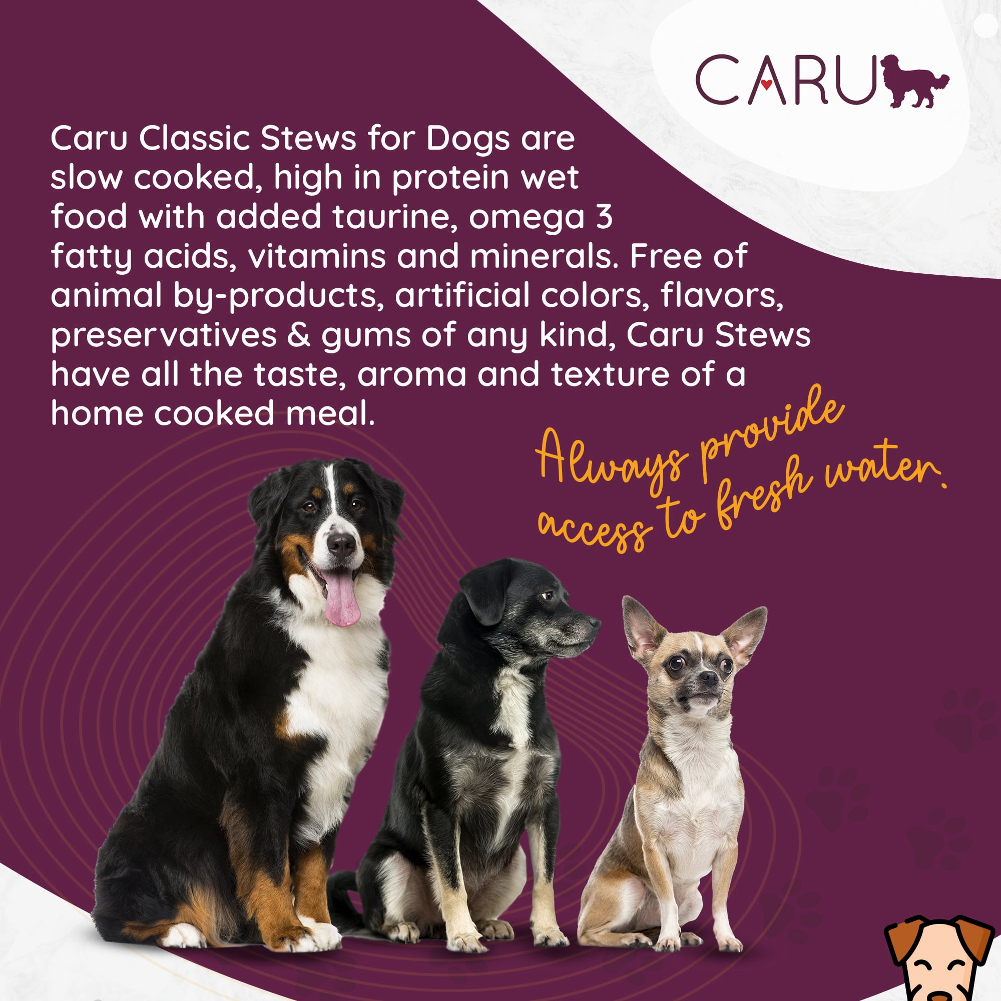 Caru - Real Turkey with Lamb for Dogs, Natural Adult Wet Dog Food with Added Vitamins and Minerals, Free from Grain, Wheat and Gluten (12.5 Ounce, Pack of 12)