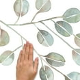 thumbnail image 2 of CATCOQ EUCALYPTUS GIANT PEEL & STICK WALL DECALS, 2 of 3