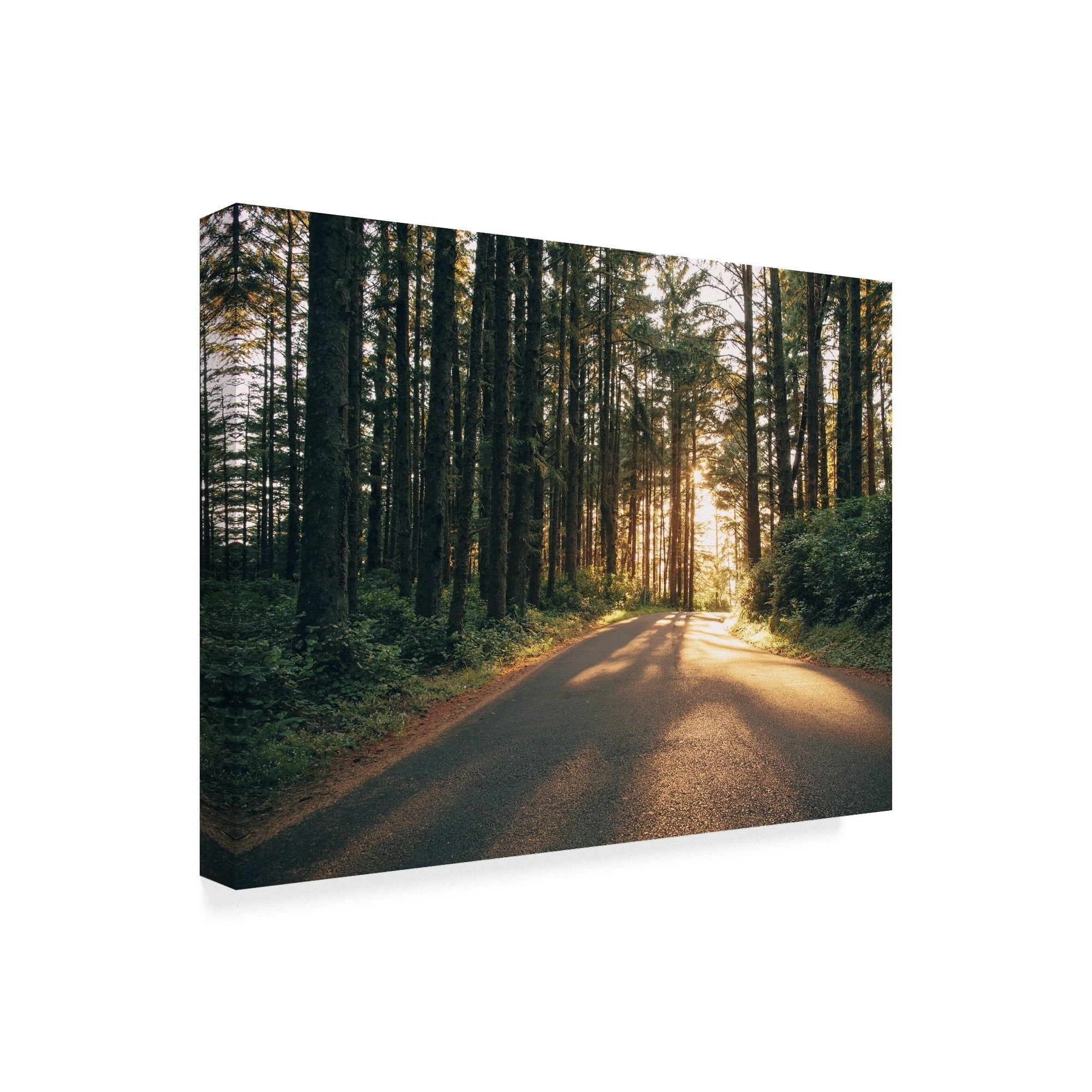 Trademark Fine Art 'Pacific Northwest Oregon III' Canvas Art by Adam Mead