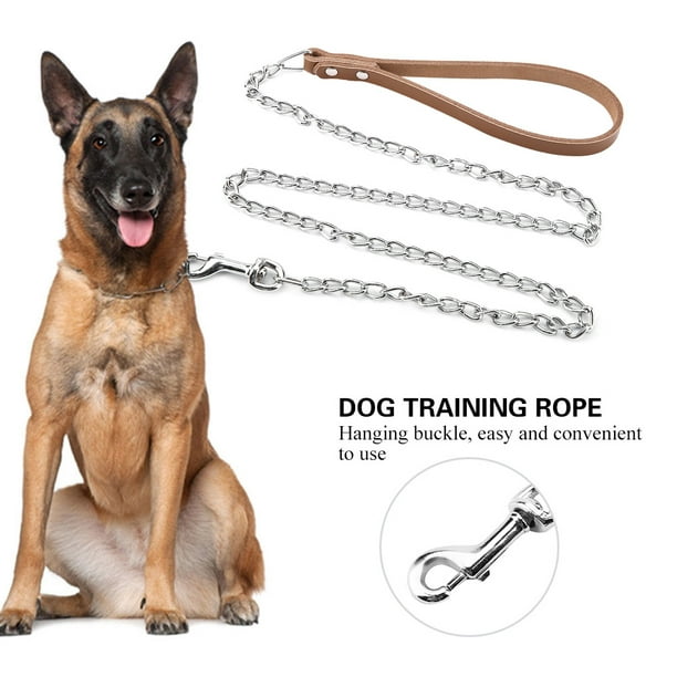 Dog Leash Metal Dog Leash Training Metal Dog Leash Dog Training Rope Industry Leading Standards Walmart