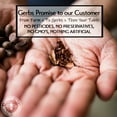 thumbnail image 3 of GERBS Cocoa Nibs, 32 ounce Bag, Top 14 Food Allergy Free, Fair Trade, NON GMO, Keto, Paleo Friendly, 3 of 9