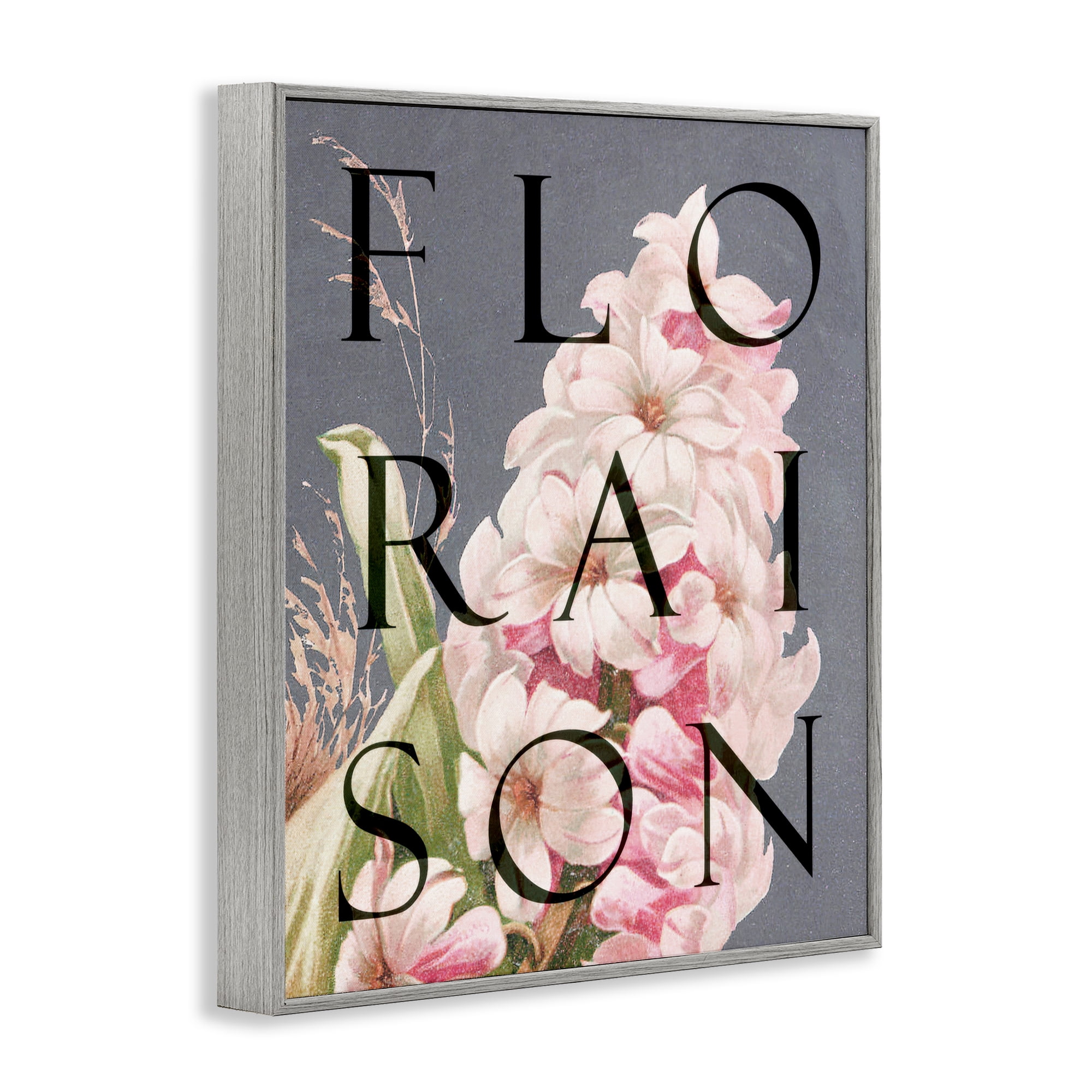 Stupell Industries Floraison Blooming Flower Gray Framed Giclee