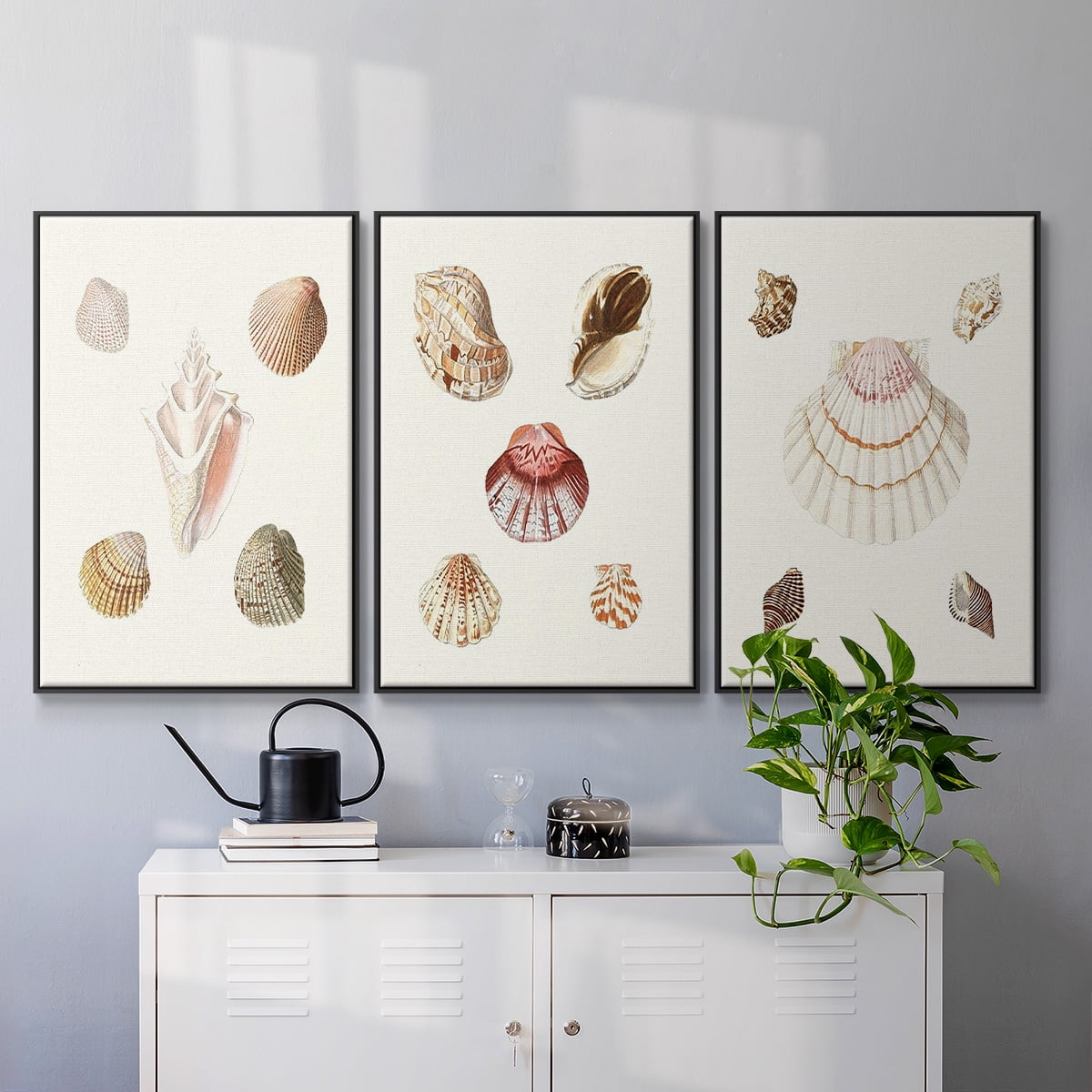 Pastel Knorr Shells IV - Framed Premium Gallery Wrapped Canvas L Frame 3 Piece Set - Ready to Hang