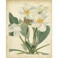thumbnail image 2 of Edmonston and Douglas 26x32 Black Ornate Wood Framed with Double Matting Museum Art Print Titled - Tropical Floral II, 2 of 4
