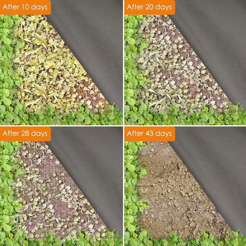Agfabric Weed Barrier Landscape Fabric WB23-3x25ft Heavy Non-Woven Ground Cover for Gardening Mat and Raised Bed, Eco-Friendly and Weed Control