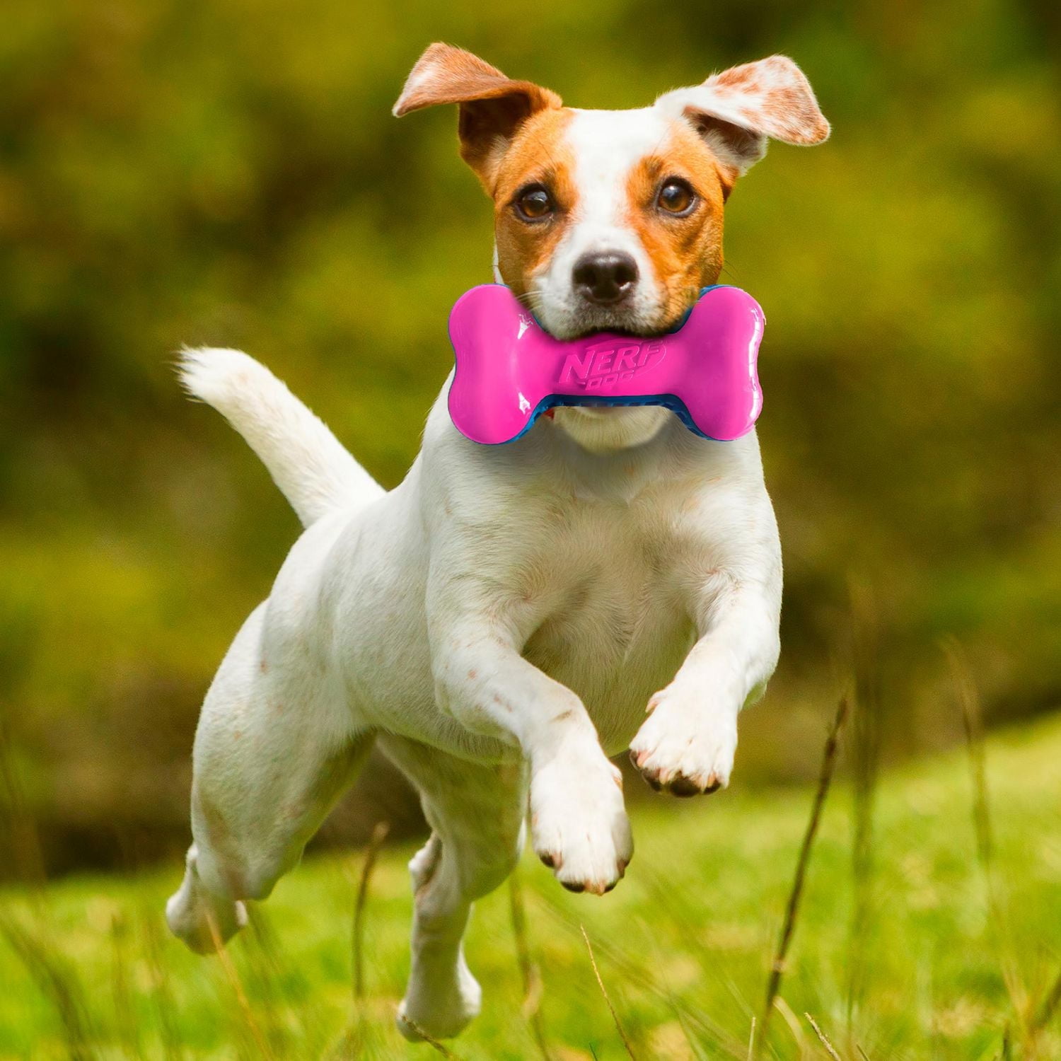 Os sonore Nerf Dog en TPR 18cm