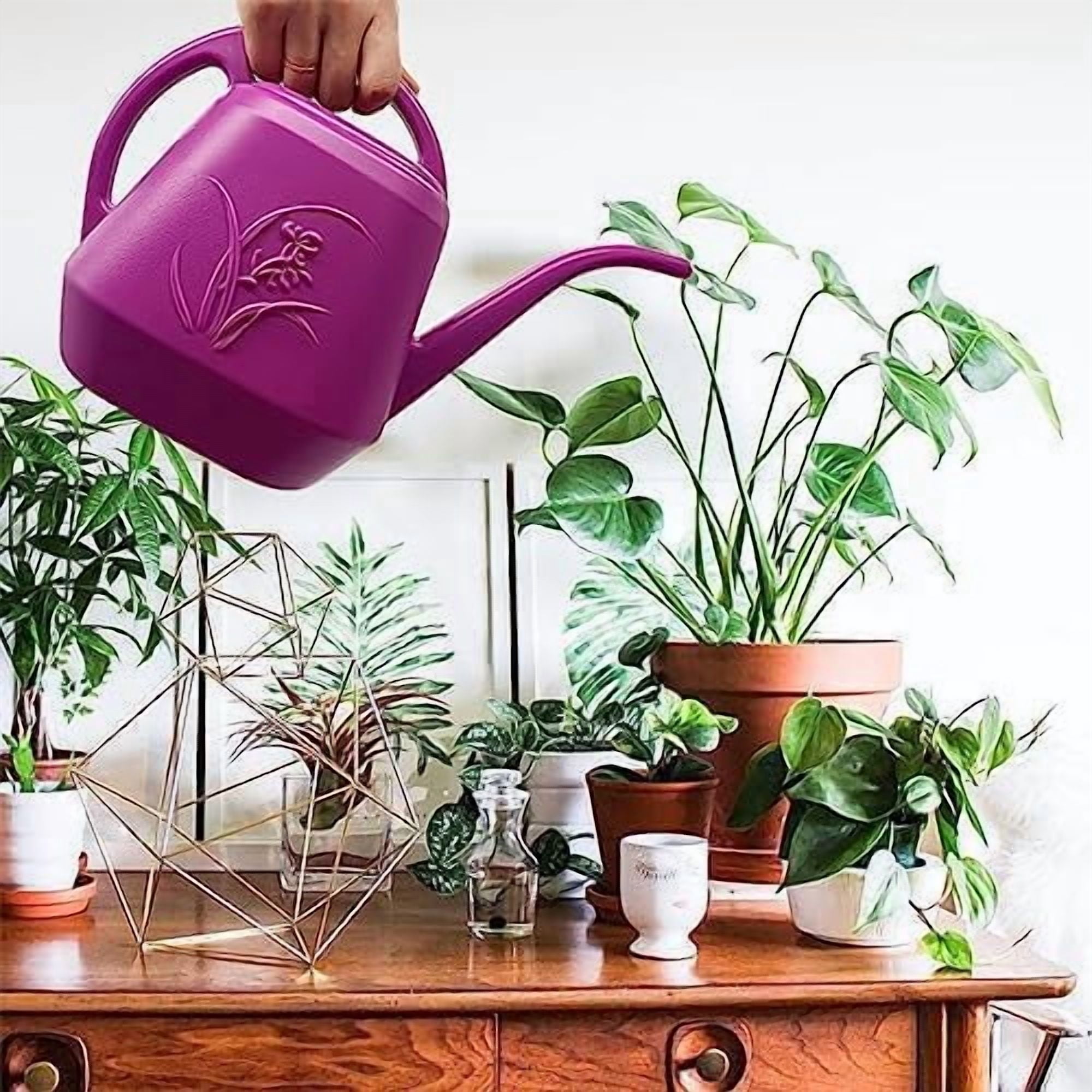 Plant Watering Can - 1 Gallon - Rose Red - with Long Spout for Indoor and Outdoor Plant Garden
