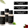thumbnail image 5 of AVYYA Essential Oils – Energy and Harmony Collection | 100% Natural Rose, Tea Tree & Peppermint Oils | Aromatherapy for Focus, Mood, Meditation and Relaxation | 3 x 10ml Bottles, 5 of 8