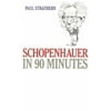 Schopenhauer in 90 Minutes, Used [Hardcover]