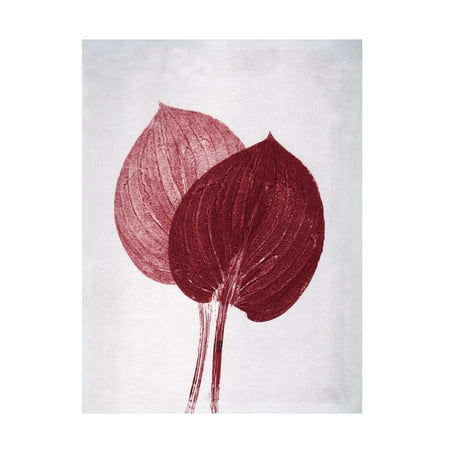 Canvas Wall Art - Pernille Folcarelli 'Hosta 2 Bordeaux' Wall Art for Living Room, Bedroom, or Office Décor by Trademark Fine Art - 14 x 19 Inches