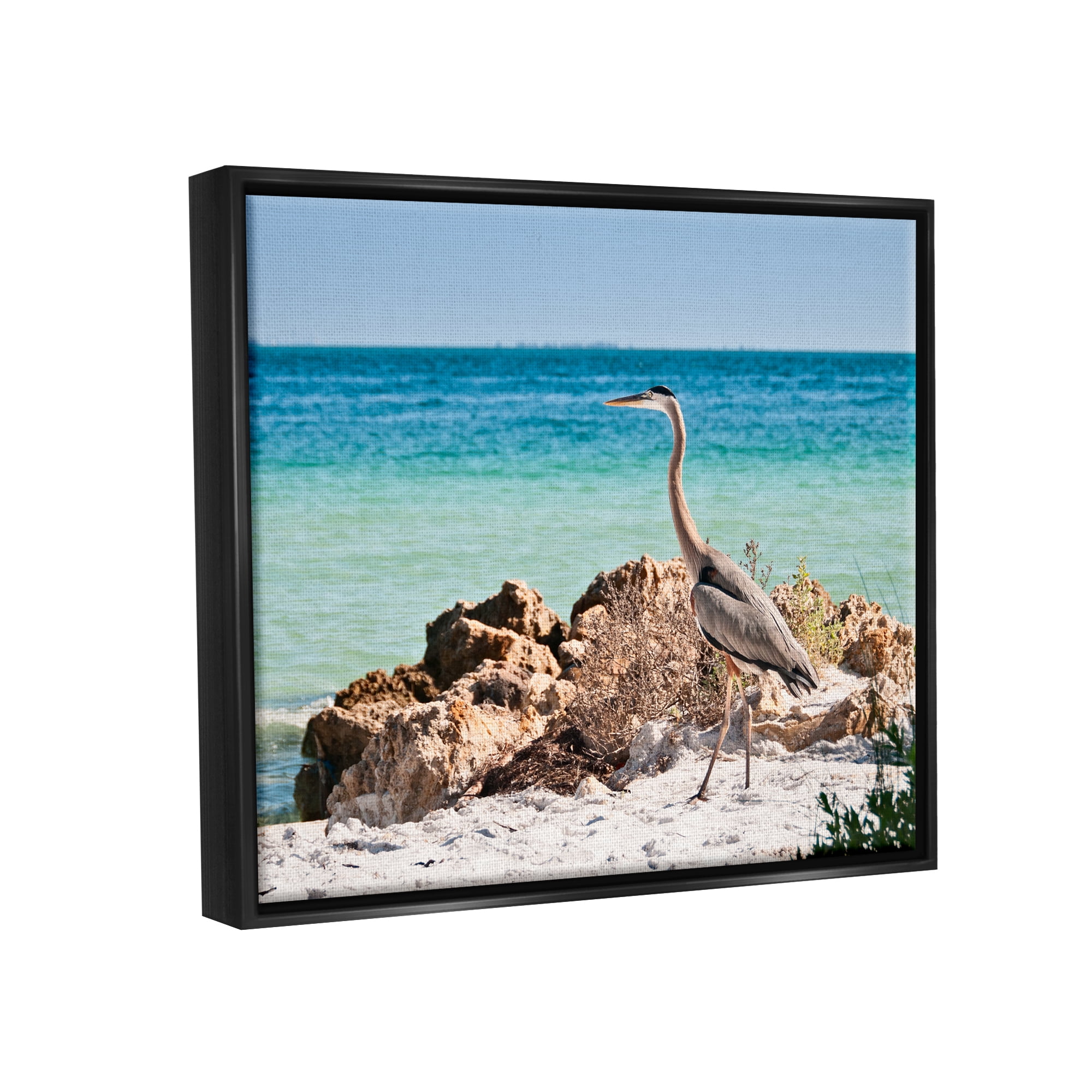 Stupell Industries Heron Watching Ocean Animals & Insects Photography Black Floater Framed Canvas Art Print Wall Art, 31 x 25