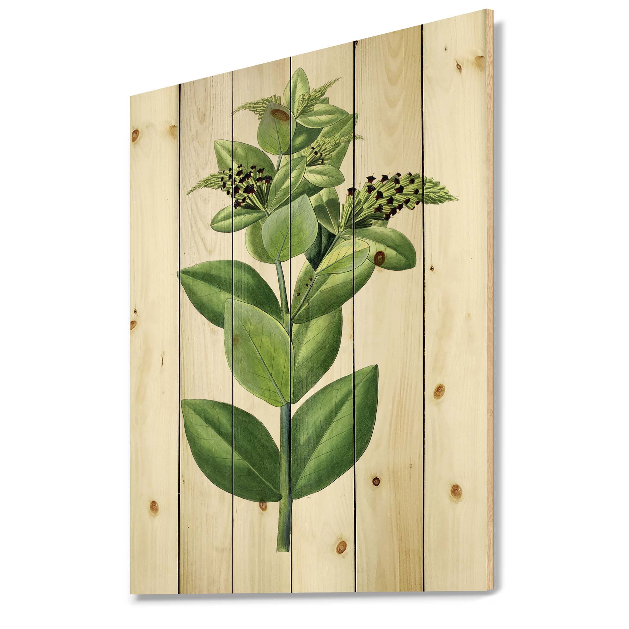 Designart 'Ancient Green Leaves Plants VI' Traditional Print on Natural Pine Wood