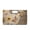 Beige Butterfly Sunflower, variant on FOR U DESIGNS Brown Turtle Starfish Shell Print Evening Clutch Bag with Chain Leather Shoulder Crossbody Women's Top Handle Purse for Prom Cocktail Party Banquets