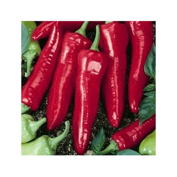 Pepper Hot Big Jim Great Heirloom Vegetable Seeds by Seed Kingdom (1 Oz Seeds)