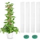 thumbnail image 5 of Naiovety La planta en conserva interior del ABS pega la ayuda única para el musgo fácil poste del crecimiento para las plantas Jardín y Patio Juego de 6 piezas, 5 of 6