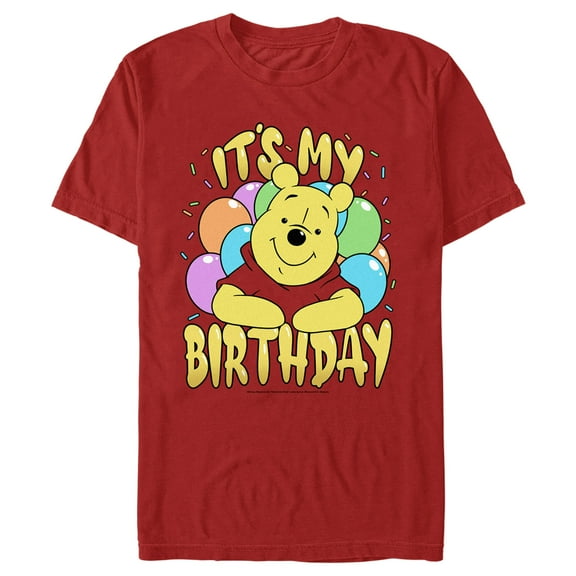 Men's Winnie the Pooh It's My Birthday Graphic Tee Red 3X Large